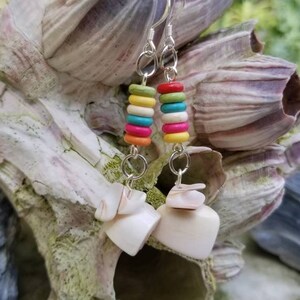 The Colors and The Shells