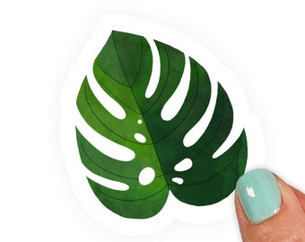 Monstera Sticker - Plant Lady Sticker - Plant Mom Sticker - Clear Vinyl Sticker - Plant Lover Gift - Crazy Plant Lady - Hennel Paper Co.