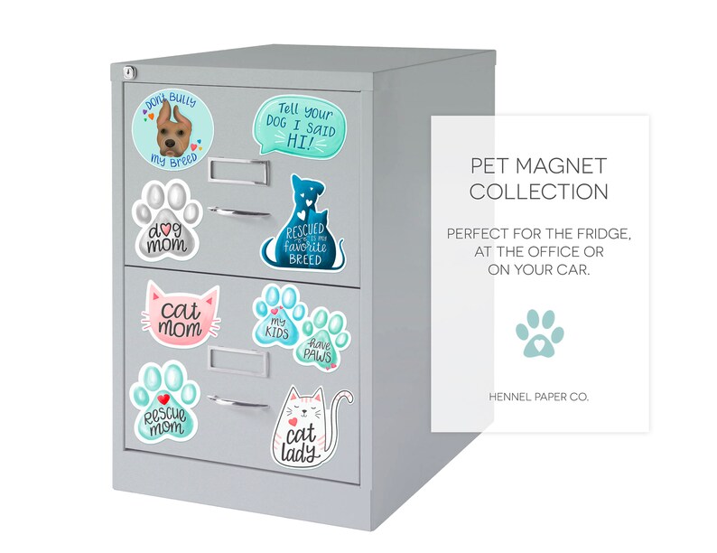 Cat Lady Car Kitchen Refrigerator Etsy
