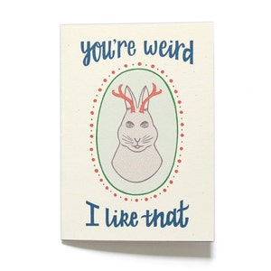 Funny Anniversary Card You're Weird Jackalope Funny Love Card LV18 image 2