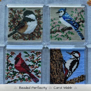 May include: Four square beaded art pieces featuring birds: a chickadee, a blue jay, a cardinal, and a woodpecker. Each bird is depicted on a branch with foliage. The text "Beaded Perfectly Carol Webb" is at the bottom.