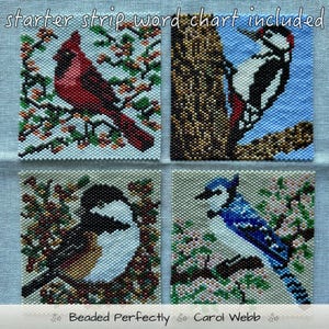 May include: Four square beadwork patterns featuring birds: a red cardinal on a branch, a woodpecker on a tree trunk, a black-capped chickadee, and a blue jay on a flowering branch. The text reads starter strip word chart included and Beaded Perfectly Carol Webb.