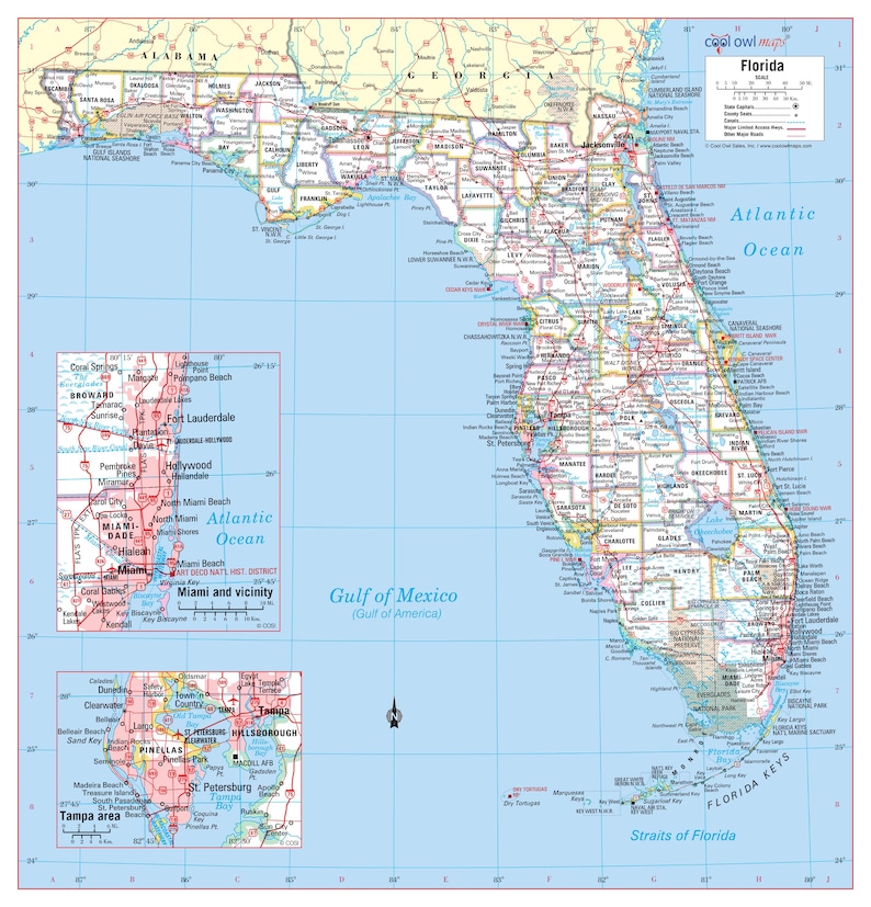 Florida state wall map