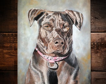 Pit Bull Portrait Painting oil on canvas