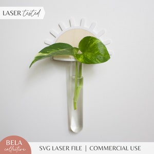 Propagazione delle piante SVG / Mini supporto per appendere il sole / Arredamento moderno per bambini in legno e acrilico / File di taglio laser Glowforge / Monstera Pothos