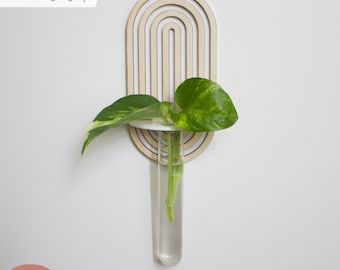 Plant Propagation SVG | Oval Arch Hanging Holder | Wood and Acrylic Modern Kids Decor | Glowforge Laser Cutting Files | Monstera Pothos