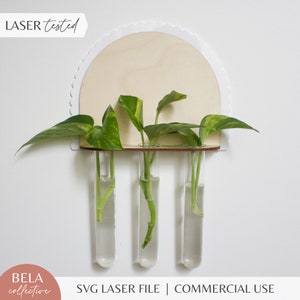 Plant Propagation SVG | Scalloped Trio Hanging Holder | Wood and Acrylic Modern Kids Decor | Glowforge Laser Cutting Files | Monstera Pothos