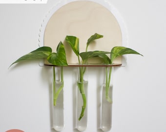 Plant Propagation SVG | Scalloped Trio Hanging Holder | Wood and Acrylic Modern Kids Decor | Glowforge Laser Cutting Files | Monstera Pothos