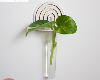 Plant Propagation SVG | Mini Rainbow Hanging Holder | Wood and Acrylic Modern Kids Decor | Glowforge Laser Cutting Files | Monstera Pothos