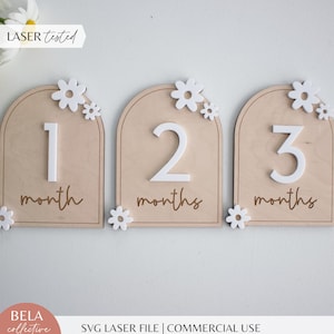 SVG Daisy Milestone Set | Reversible First Year of Baby Photo Props | Boho Personalized Wood Decor | Cut File Glowforge Lasers