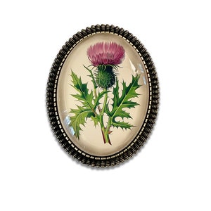 Thistle Brooch, Scottish Thistle Pin, Thistle Jewelry, Scotland's Flower, Vintage Inspired Thistle Brooch, Wildflower Brooch, Floral Pin