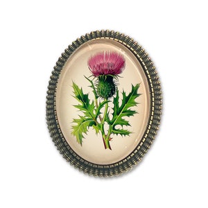 Thistle Brooch, Scottish Thistle Pin, Thistle Jewelry, Scotland&#39;s Flower, Botanical Art Pin, Wildflower Brooch, Floral Pin, Vintage Style