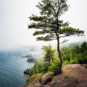 Lake Superior North Shore, Tettegouche State Park, Fog, Spring, Nature Photography, Tree, Landscape, Fine Art Print, Healing Art, Minnesota