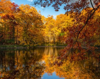 Nature Photography, Autumn Photo, Oak Trees, Reflections, Fall Colors, Lake, Fine Art Print, Orange Golden, Fairy Tale, Northern Wisconsin