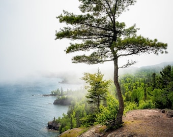 Lake Superior North Shore, Tettegouche State Park, Fog, Spring, Nature Photography, Tree, Landscape, Fine Art Print, Healing Art, Minnesota