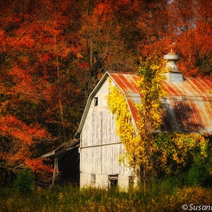 Photographies de nature, ancienne grange, couleurs d'automne, décoration d'automne, impression d'art, rustique, orange rouge brun, style campagnard, Wisconsin, décoration de cabane
