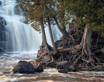 Gooseberry Falls, Waterfall Photography, Minnesota State Park, North Shore, Lake Superior, Brown White, Cedar Trees, Healing Nature Art