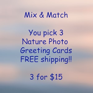 Photo Greeting Cards, Nature Photography, Set of 3, SPECIAL, Thank You, Birthday, Sympathy, Gift Ideas, Landscape Photos, Flower Photos image 1