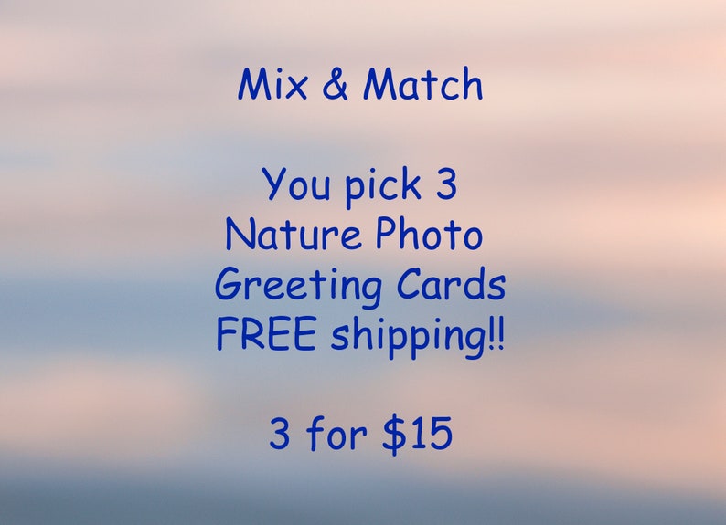 Photo Greeting Cards, Nature Photography, Set of 3, SPECIAL, Thank You, Birthday, Sympathy, Gift Ideas, Landscape Photos, Flower Photos image 1