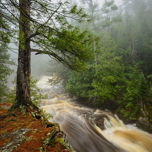 Waterfall Photography, Forest, North Woods, Nature, Fairy Land, Copper Falls State Park, Wisconsin, Spring Fog, Serene, Green Brown White