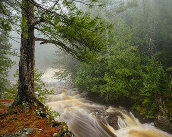 Discounted Print, Waterfall Photography, ON SALE, Forest, Nature, Copper Falls State Park, Wisconsin, Spring Fog, Serene, Green Brown White