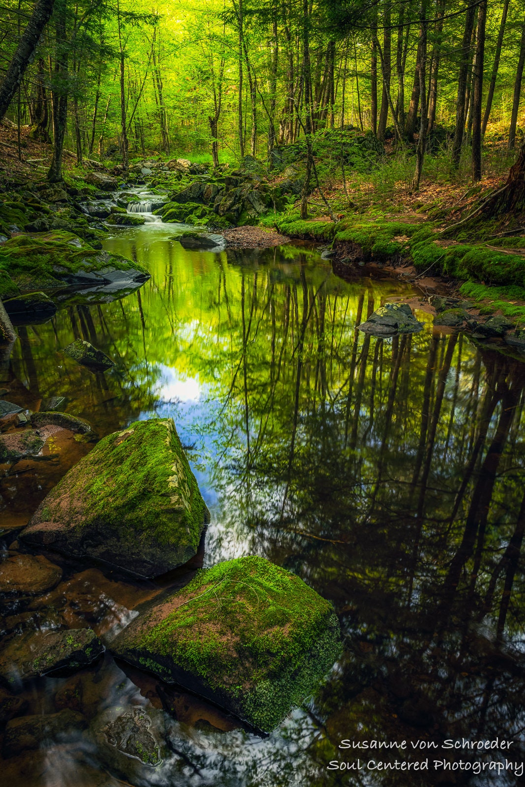 Perry Township Creek