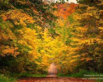 Autumn Photo, Fall Colors, Dreamy Autumn Road, Road Trip, Nature Photography, Fine Art Print, Wisconsin, North Country, Brilliant Colors