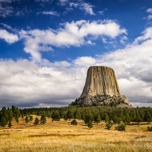 May include: A scenic landscape featuring a large, striated rock formation, likely a butte or mesa, rising above a forest and field. The sky is a vibrant blue with scattered white clouds. The image is a photograph.