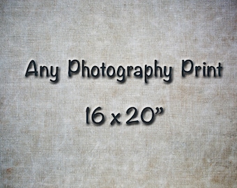 Nature Photography, Custom Fine Art Prints, Large Print, Landscape Photos, Wall Art Home and Office Decor, Black and White Photo, Gift Ideas