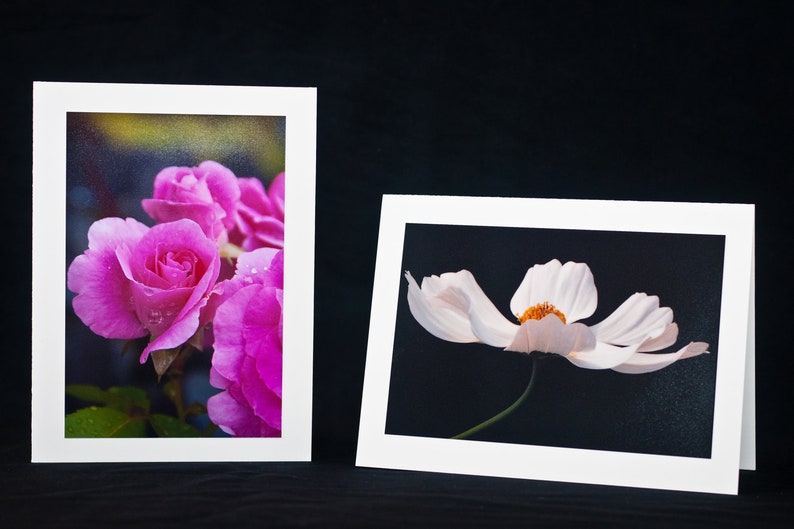 Photo Greeting Cards, Nature Photography, Set of 3, SPECIAL, Thank You, Birthday, Sympathy, Gift Ideas, Landscape Photos, Flower Photos image 2