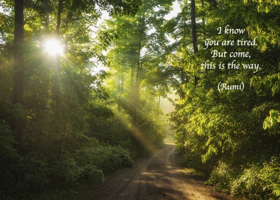 Citation De Rumi Poesie Inspirante Carte De Vœux Foret Etsy Canada