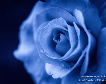 Blue Rose, Flower Photography, Fine Art Print, Macro, Romantic, Love, Mystical, Lemuria, Flower Photo, Mary Magdalene, Feminine