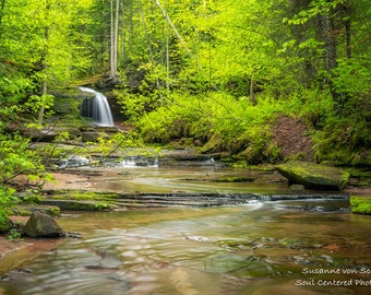 Waterfall Photography, Lost Creek Falls, Wisconsin, Forest, Creek, Nature Spirits, Magic, Healing Art, Spring, Dreamy, Panorama, Zen Decor