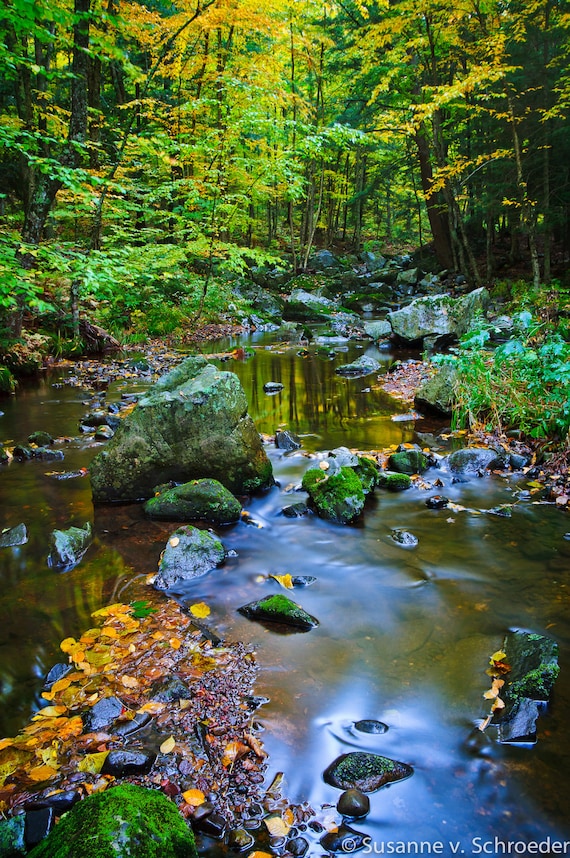 Nature Photography, Magical Creek, Fine Art Print, Wall Decor
