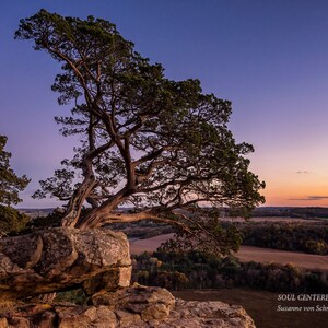 May include: A lone tree with twisted branches grows out of a large rock on a cliff overlooking a valley. The sky is a vibrant purple and orange at sunset.
