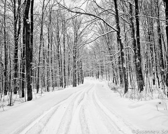 Puede incluir: Una fotografía en blanco y negro de un sendero de bosque nevado. Los árboles están desnudos y el suelo está cubierto de nieve. El sendero es estrecho y sinuoso, y desaparece en la distancia.