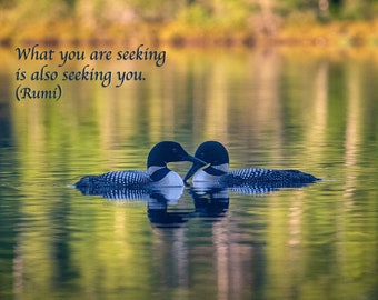 Rumi Quote, Inspirational Poetry, Greeting Card, Loons, Reflection, Lake, Spiritual Journey, Healing Art, Surrender, Nature Photography