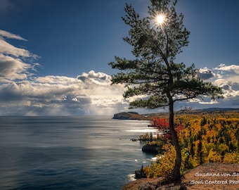 Puede incluir: Fotografía de paisaje con un árbol soleado en un acantilado con vistas a una gran masa de agua. El cielo está nublado y la costa muestra colores otoñales. La imagen captura un entorno natural sereno.