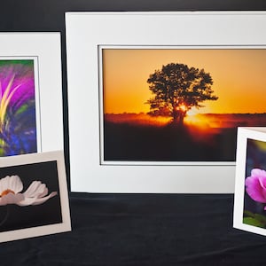 May include: A collection of framed art prints and greeting cards. The prints feature a colorful abstract design, a sunset with a tree silhouette, a white flower, and pink roses. All are displayed on a black surface.