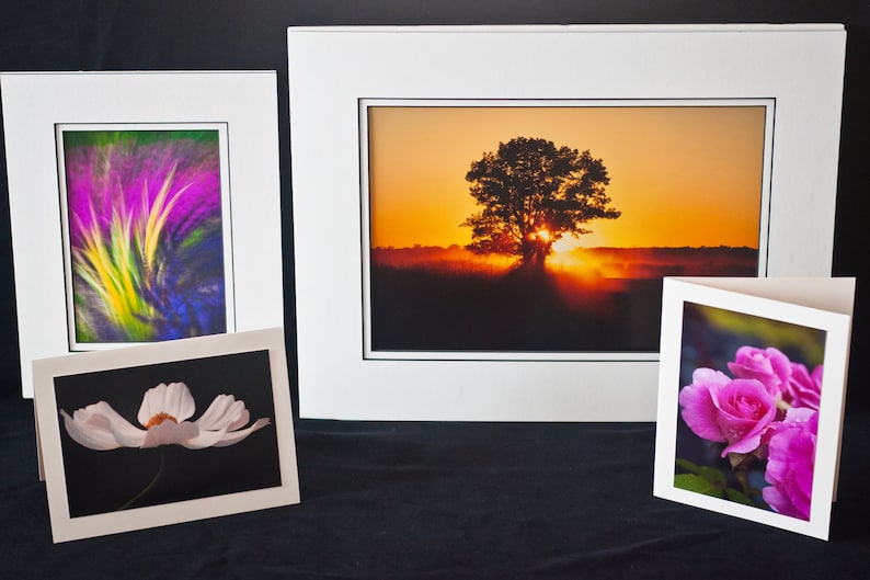 May include: A collection of framed art prints and greeting cards. The prints feature a colorful abstract design, a sunset with a tree silhouette, a white flower, and pink roses. All are displayed on a black surface.