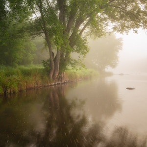 Nature Photography, Foggy River, Magical Nature Scene, Tree, Reflections, Summer Sunrise, Healing Art, Enchanted Forest, Green, Fairy Land