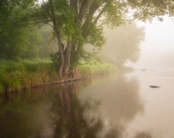 Nature Photography, Foggy River, Magical Nature Scene, Tree, Reflections, Summer Sunrise, Healing Art, Enchanted Forest, Green, Fairy Land