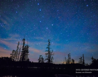 Astro Photography, Big Dipper Constellation, Starry Night, Night Sky, Dark Blue Sky, Fine Art Print, Tree Silhouettes, Wisconsin, Home Decor