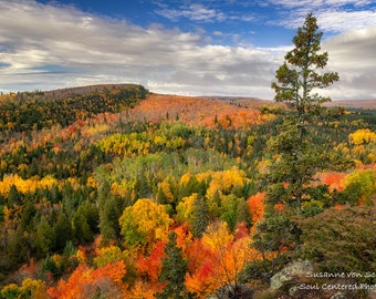 Autumn Photo, Fall Colors, Oberg Mountain, Nature Photography, Fine Art Print, Lutsen, Minnesota, Fall Landscape, North Country, Brilliant