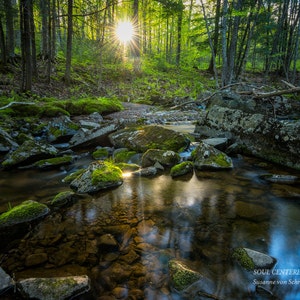 Nature Photography, Magical Woodland Scene, Sunset, Creek, Fine Art Print, Enchanted Forest, Green Yellow, Fairy Land, Cabin Home Decor