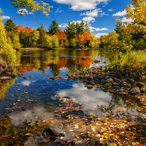 May include: A scenic landscape featuring a calm river reflecting a vibrant autumn forest under a bright blue sky with fluffy white clouds. The water is clear, revealing rocks and fallen leaves.