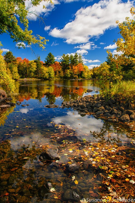 Autumn Photography, Fall Landscape, Autumn Wall Decor, Fine Art Print, Chippewa River, Wisconsin, Fall Colors, Brilliant, Home Decor