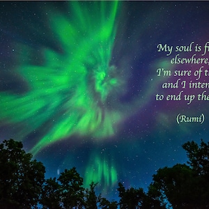 Puede incluir: Una aurora boreal vibrante de color verde y morado, tambi&eacute;n conocida como Luces del Norte, llena el cielo nocturno. &Aacute;rboles en silueta enmarcan la parte inferior de la imagen. La cita "Mi alma es de otro lugar, estoy seguro de eso, y tengo la intenci&oacute;n de terminar all&iacute;. (Rumi)" se superpone a la imagen.