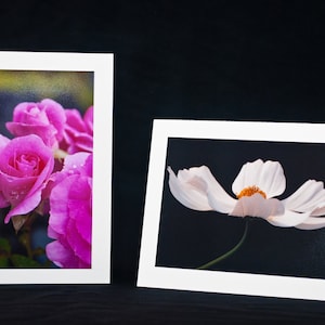 May include: Two greeting cards with floral designs. The card on the left features a close-up of pink roses with water droplets. The card on the right features a white flower with a yellow center against a black background.