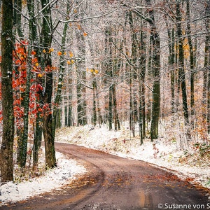 Nature Photography, Winter Road, First Snow, Fine Art Print, Winter Forest, Trees, Brown White, Journey, Wisconsin, Cabin Home Decor image 2